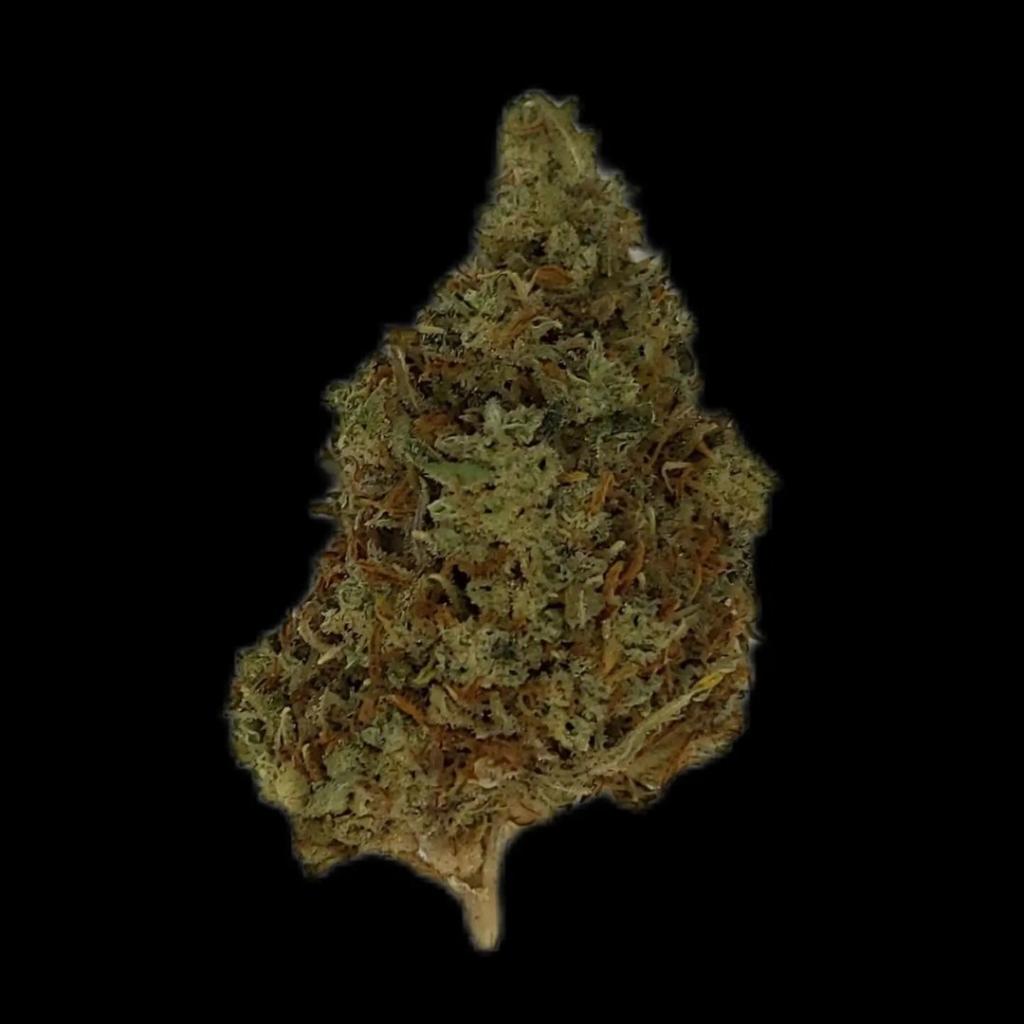 Casco Bay Cannabis Co.